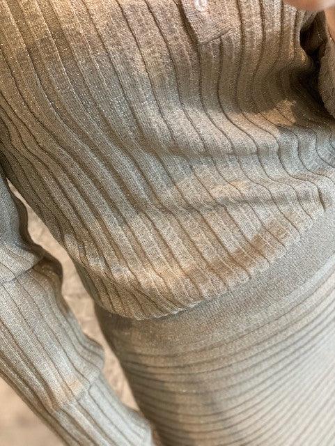 CH Beige Shimmer Dress - IF SO 